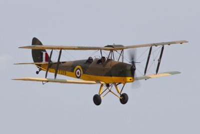 tiger_moth tiger_moth